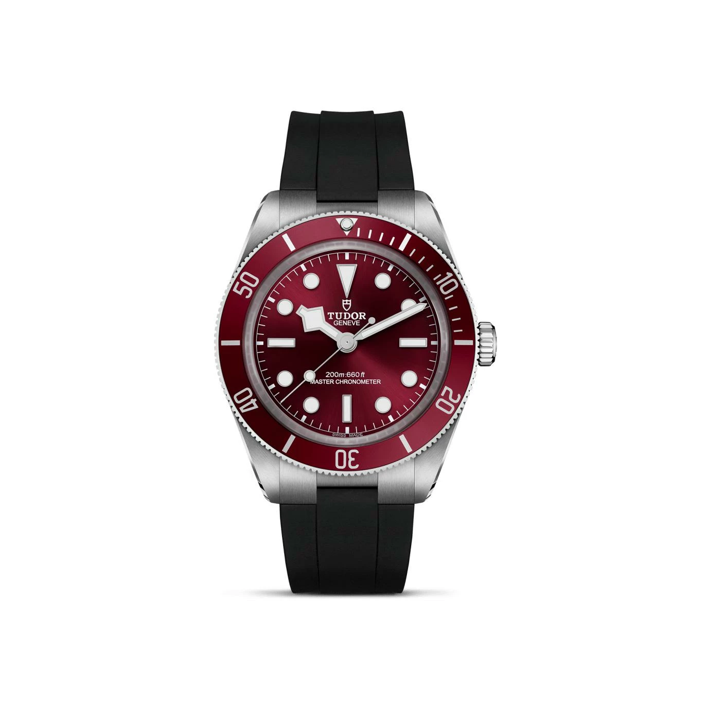 Tudor Black Bay